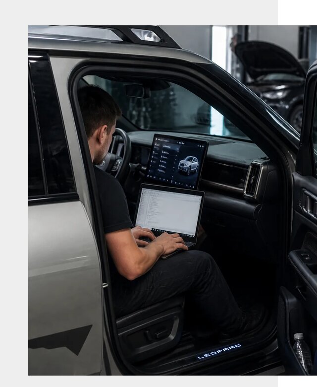 Русификация BYD Leopard 3 в Сочи по цене от 20569 р. | ФастМобиль-Счи